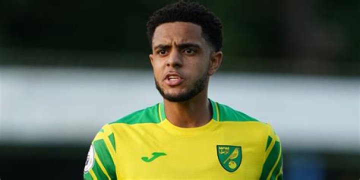 
5 Family Facts About Irish Defender Andrew Omobamidele 