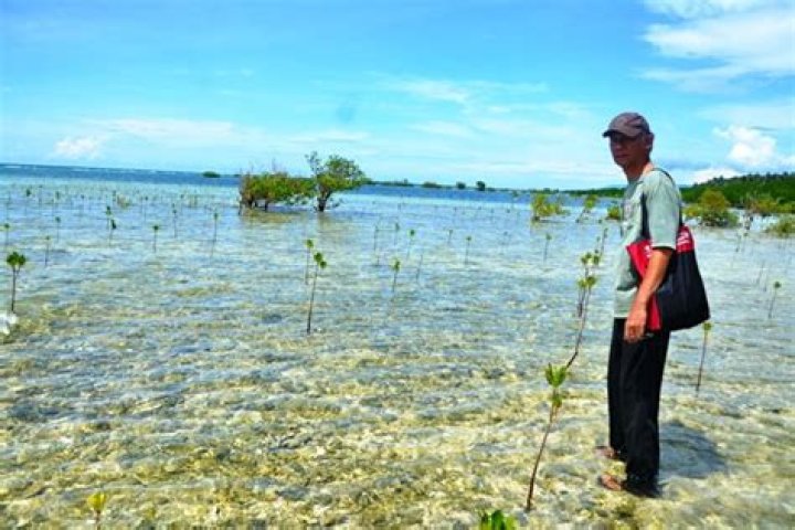 
Aziil Anwar, The Indonesian Civil Servant, passed away at 64 